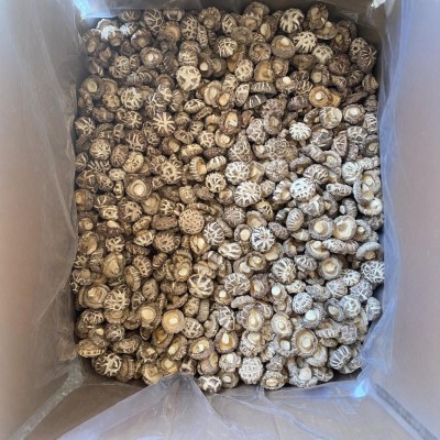 白花菇干货河南特产西峡香菇批发商用干花菇茶花菇小花菇图2