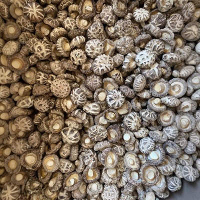 白花菇干货河南特产西峡香菇批发商用干花菇茶花菇小花菇图5