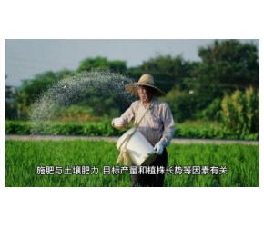 农业种植技术，西瓜怎么种不重茬的方法