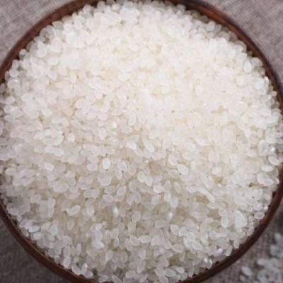 东北大米50斤装米批发食堂用珍珠米一包餐饮用粳米新米图3
