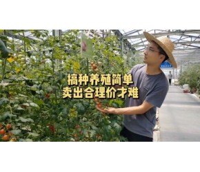 农业创业搞种养殖简单，如何卖出合理的价格才难