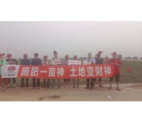 一亩神田间回访#农业种植#一亩神#喜豹