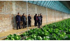 乔云在兴县康宁镇现代农业产业园区调研设施农业发展情况