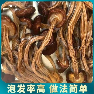 古田不开伞开伞茶树菇干货散装批发茶薪菇新鲜菌菇特产煲汤食材图3