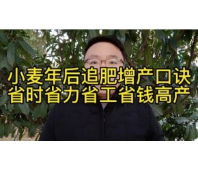小麦年后追肥省工省钱省肥高产口诀#三农 #农业知识 #种植技术 #种植 #农业