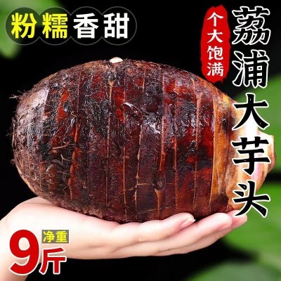 正宗广西荔浦大芋头新鲜现挖农家蔬菜桂林槟榔芋香芋软糯特产图2