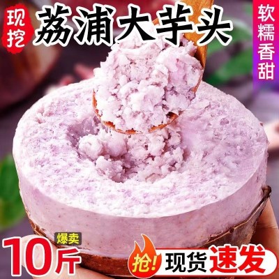 正宗广西荔浦大芋头新鲜现挖农家蔬菜桂林槟榔芋香芋软糯特产图3