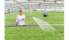 科技赋农：数字农业驱动传统农业转型升级