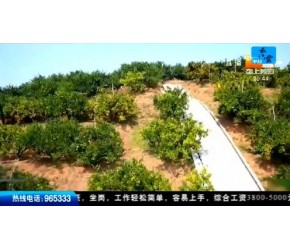 农业技术“五个一” 推动农业高质量发展