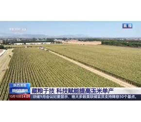 两大农业技术加持下 陕西玉米“情绪稳定” 甚至还增产了→
