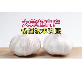 大蒜备播技术讲座 #农业技术早分享 #助农增产丰收