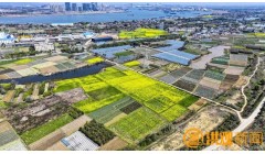 农业向新 乡村提质 南昌因地制宜培育发展农业新质生产力