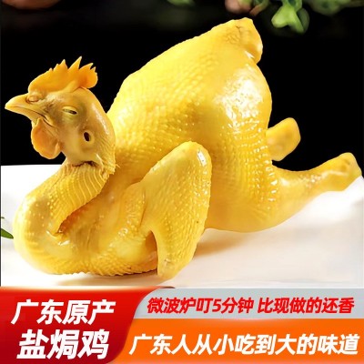 广东特产盐焗鸡整只真空包装常温保存开袋即食网红爆款工厂直发