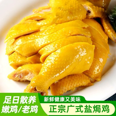 广东特产盐焗鸡整只真空包装常温保存开袋即食网红爆款工厂直发图6
