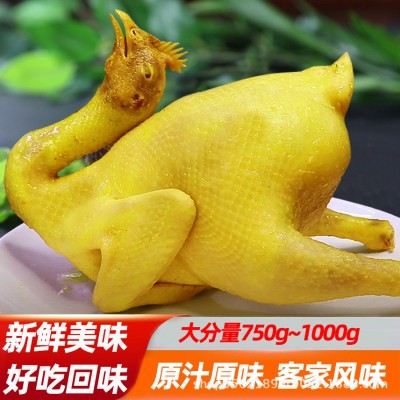 广东特产盐焗鸡整只真空包装常温保存开袋即食网红爆款工厂直发图3