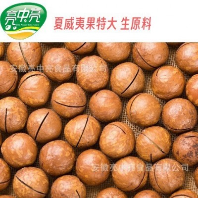 【生原料】生夏威夷果特大 开口生料坚果满包邮