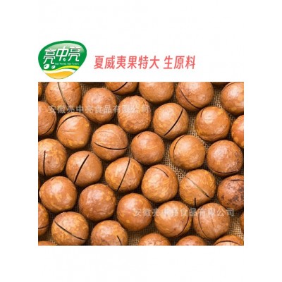 【生原料】生夏威夷果特大 开口生料坚果满包邮图4