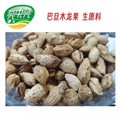 【生原料】生巴旦木 龙果 带壳原味杏原料一件代发批发满包邮