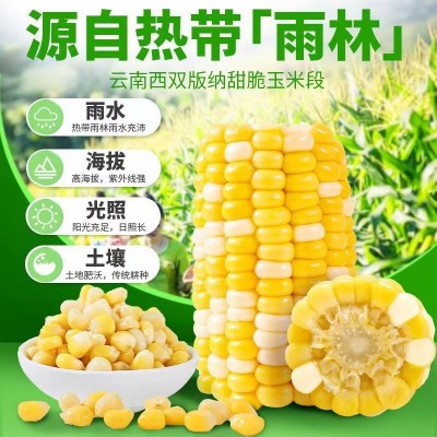 云南即食水果玉米甜糯真空包装小段新鲜免煮学生宿舍零食早餐代餐图6