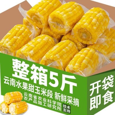 云南即食水果玉米甜糯真空包装小段新鲜免煮学生宿舍零食早餐代餐