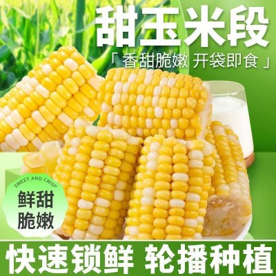 云南即食水果玉米甜糯真空包装小段新鲜免煮学生宿舍零食早餐代餐图2